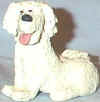 whitepup.jpg (7587 bytes)